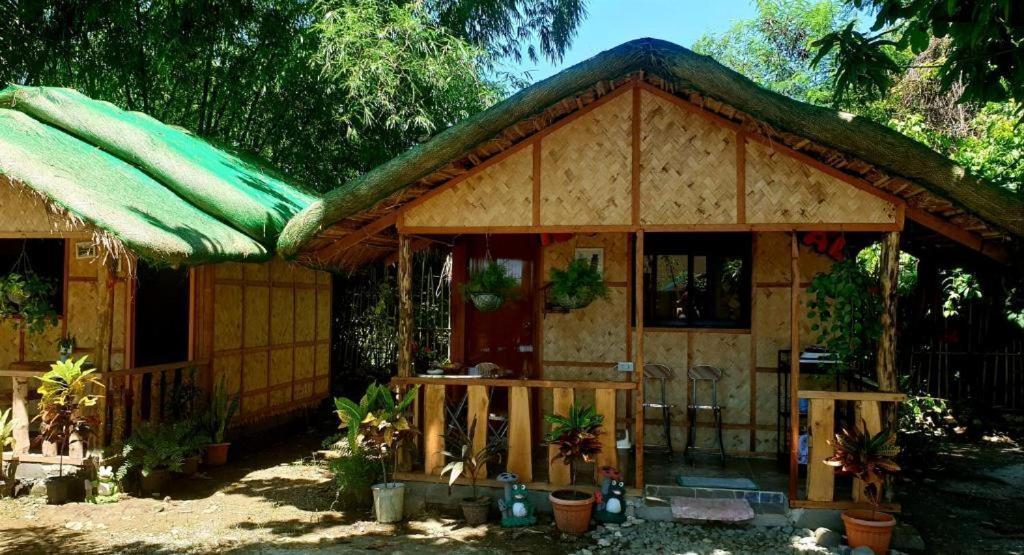 Traditional Filipino Transient House And Huts Near 100 Islands Wharf Alaminos Esterno foto