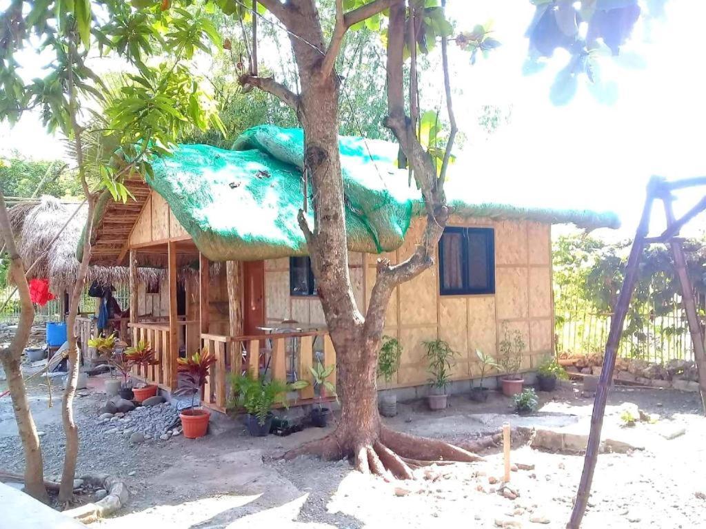Traditional Filipino Transient House And Huts Near 100 Islands Wharf Alaminos Esterno foto